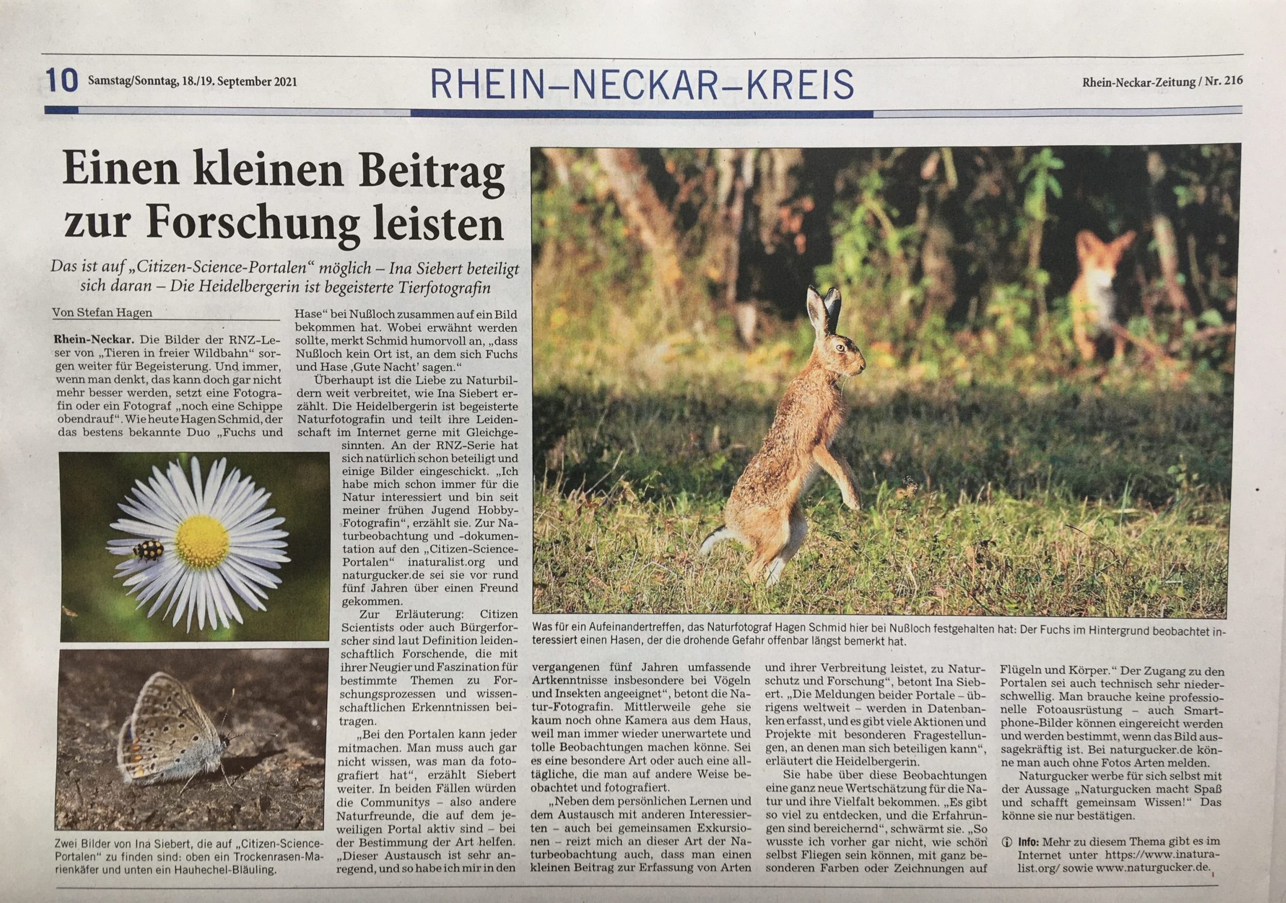 Meine Leidenschaft in der Rhein-Neckar-Zeitung